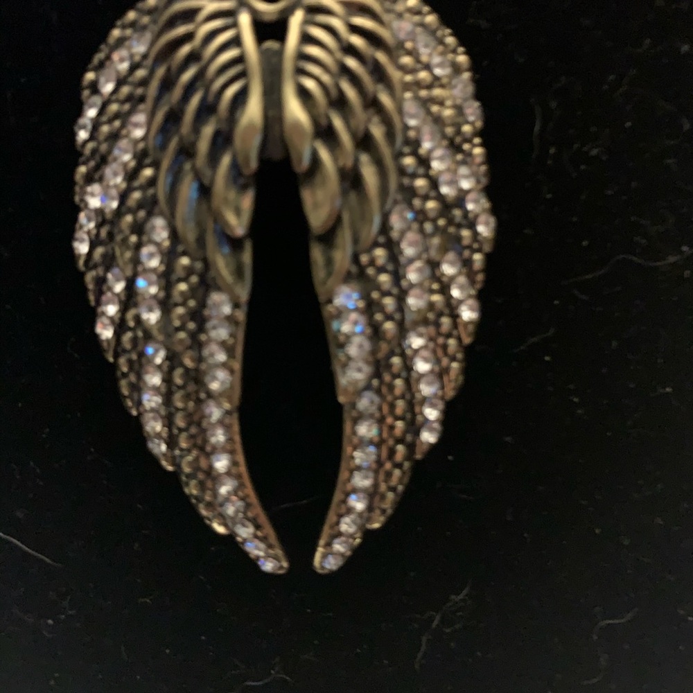 Beautiful wings - Picture 3 of 7